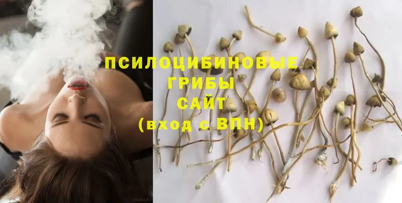 Псилоцибиновые грибы Magic Shrooms  Карабулак 